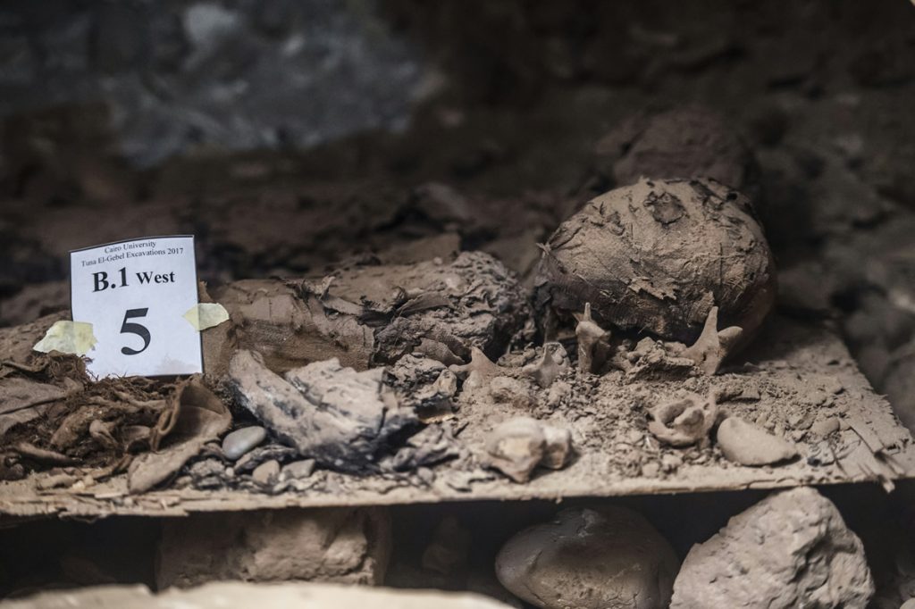 Egipto. Foto: AFP