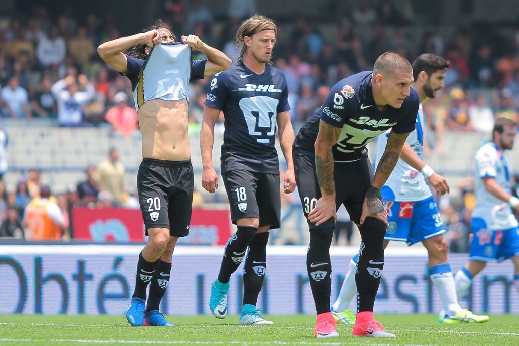 Pumas. Foto: Notimex