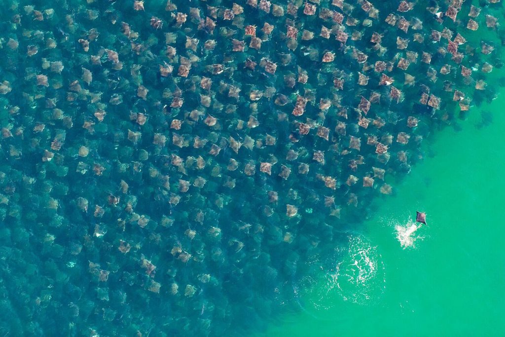 FOTOS: Concurso CIWEM, 10 años del impacto humano sobre el planeta