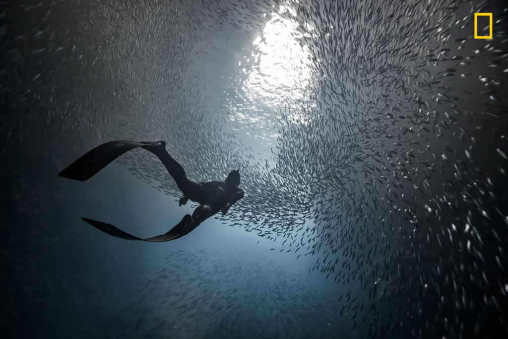 FOTOS: National Geographic presume imágenes de su concurso anual