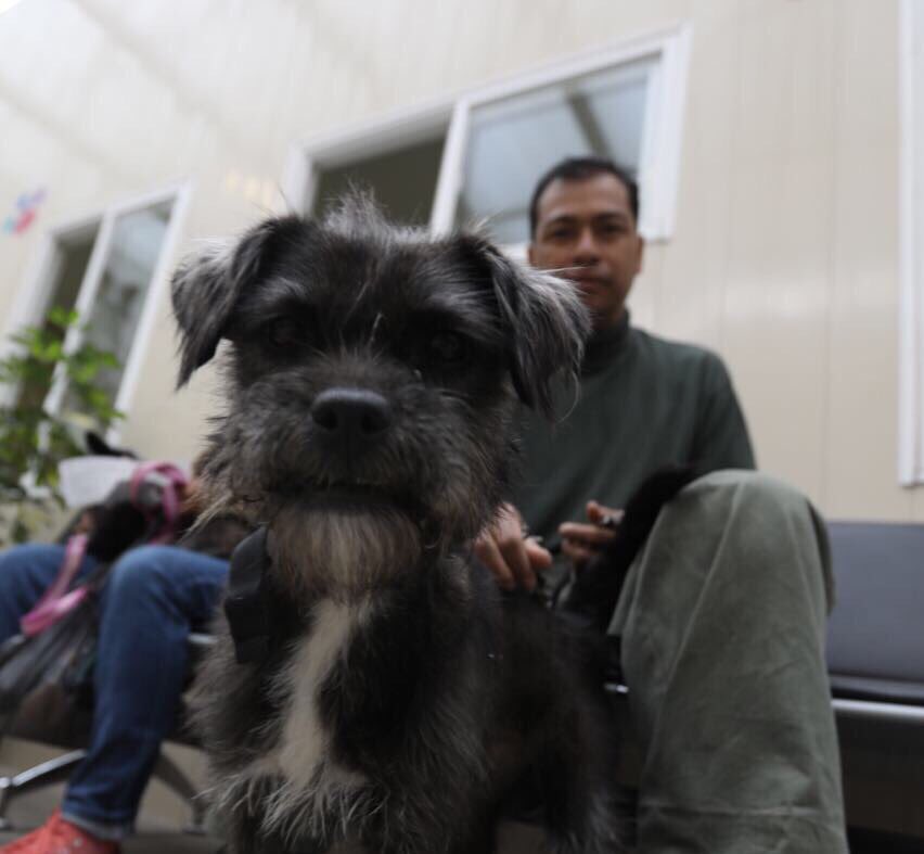 Foto @ManceraMiguelMX