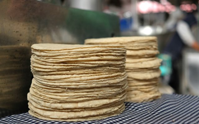CUARTOSCURO.