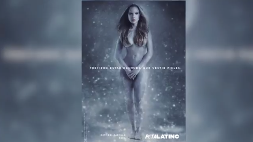 FOTOS Y VIDEO: Kate del Castillo se desnuda por una buena causa