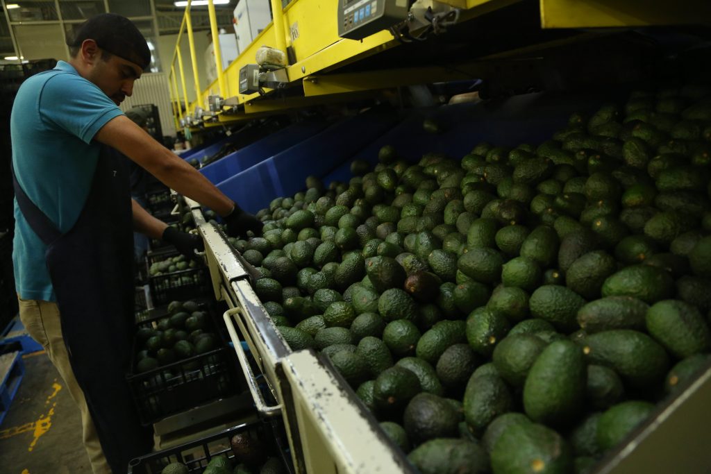 Con este spot, el aguacate mexicano llegará al Super Bowl