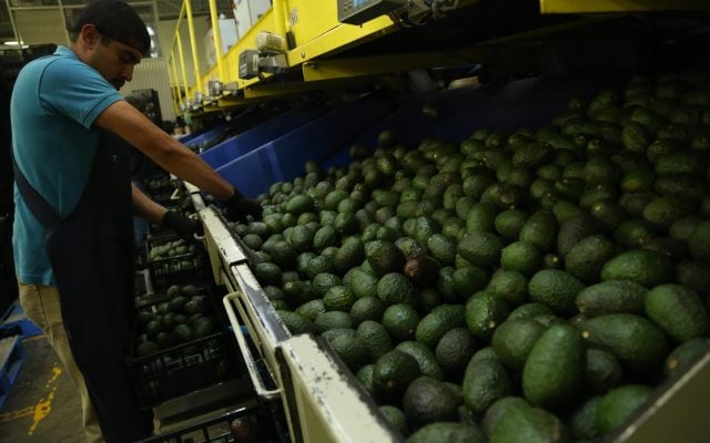 Los productos alimentarios mexicanos son los más demandados
FOTO: CUARTOSCURO