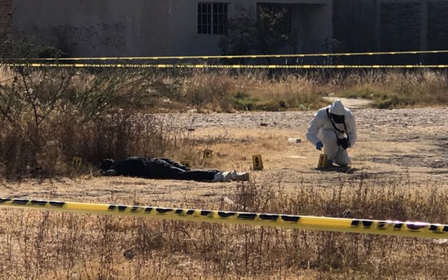 Asesinan a 10 personas en Guanajuato en menos de 24 horas