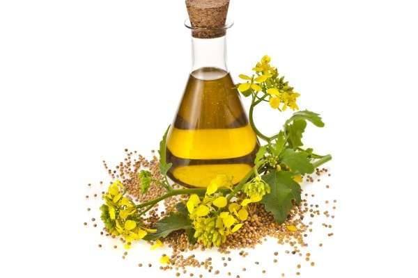 6 cosas que debes saber sobre el aceite de canola