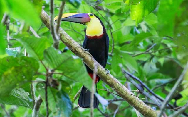 FOTO: @Visit_CostaRica