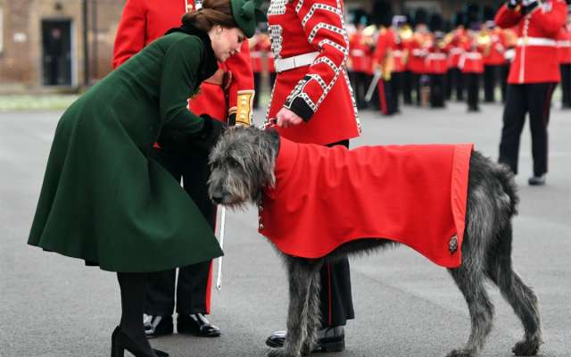 FOTO: REUTERS