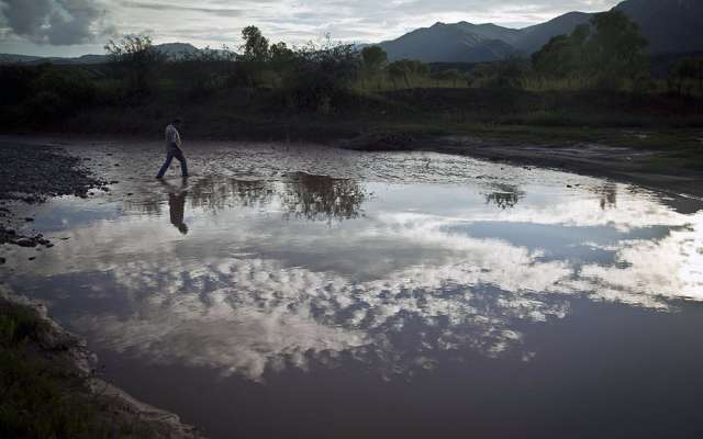 Foto: Archivo/ Cuartoscuro