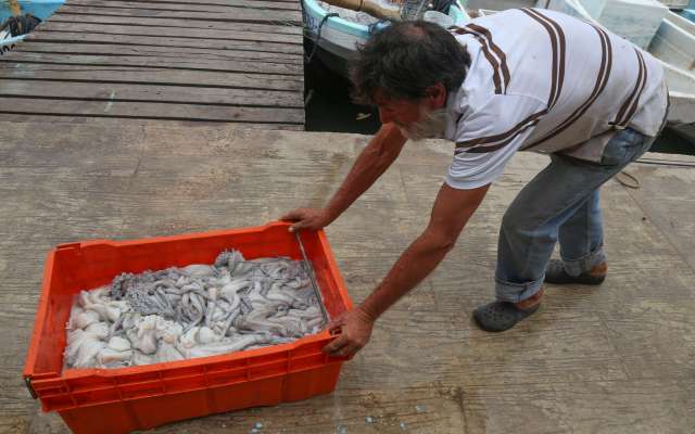 FOTO: ARCHIVO/ CUARTOSCURO