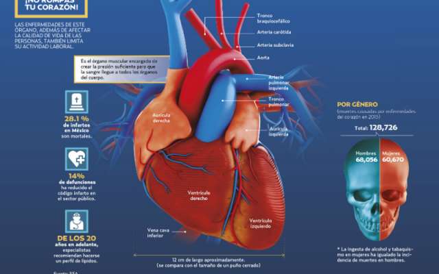 Alcohol aumenta infarto en jóvenes