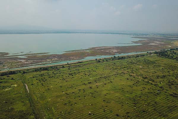 Vista del Lago Nagor Carrillo, el cual comenzó a ser secado como parte de la construcción del Nuevo Aeropuerto de la Ciudad de México. FOTO: CUARTOSCURO