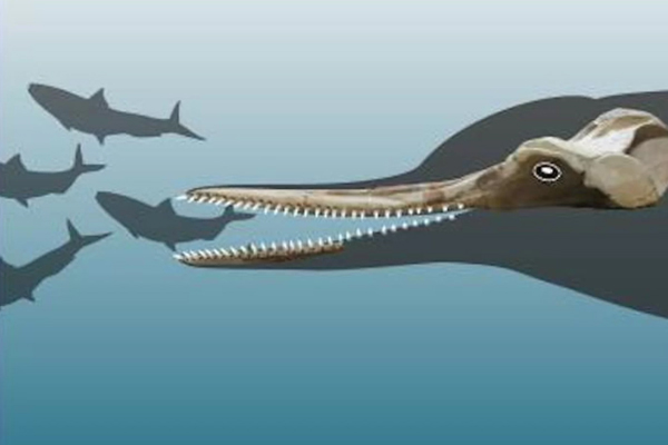 Se trata de una especie inusual. FOTO: Live Science
