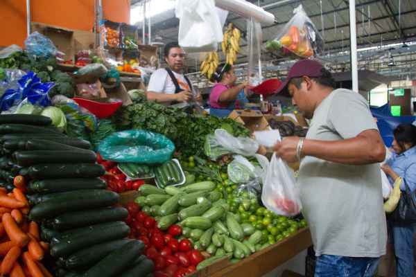 La producción de alimentos al cierre del año pasado alcanzó las 286 millones de toneladas. Foto: Archivo | Cuartoscuro