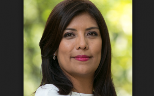 Carmen Julia Prudencio: La estructura de seguridad en el proceso de pacificación de México