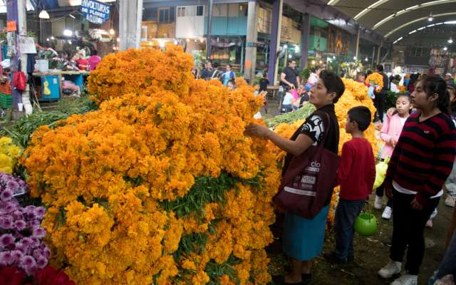 El Estado de México
concentra 80 por ciento de la producción nacional
de flores de ornato. Foto: Cuartoscuro
