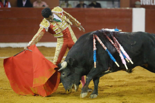 Se despide una de las grandes figuras mexicanas del toreo. FOTO: @ignacio_garibay