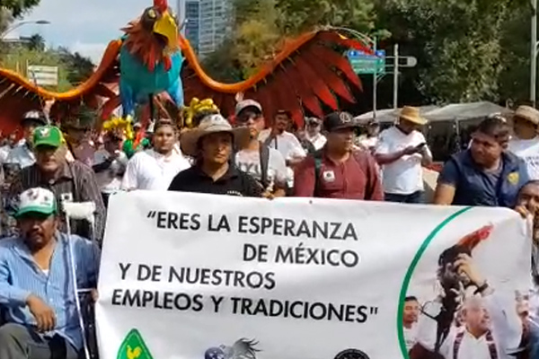También defienden las peleas de gallos. FOTO: ESPECIAL