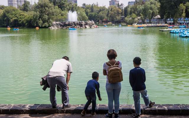 Las aguas se utilizan para dotar lagos como el de Chapultepec, fuentes y jardines públicos.
FOTO: TERCERO DÍAZ /CUARTOSCURO.COM
