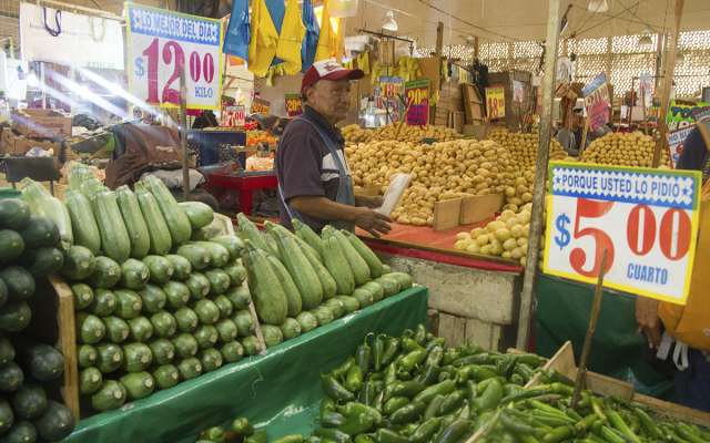 Entre los productos y servicios que más subieron en el mes están: tomate verde. FOTO: CUARTOSCURO