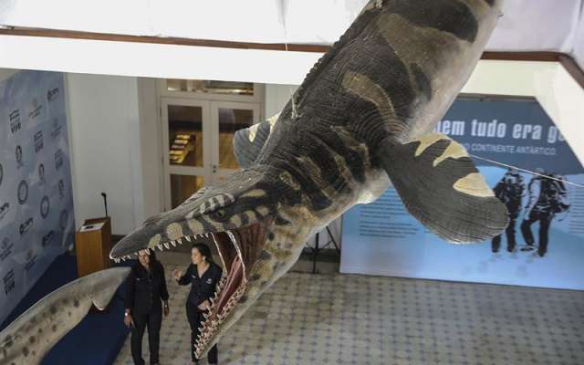 El museo contaba con colecciones de paleontología, antropología y arqueología, con aproximadamente 20 millones de piezas que en su mayoría se perdieron en el siniestro