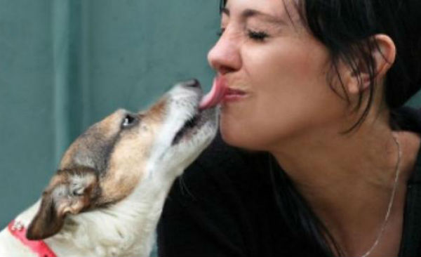 Las mascotas portan una bacteria que podría causar gastritis.