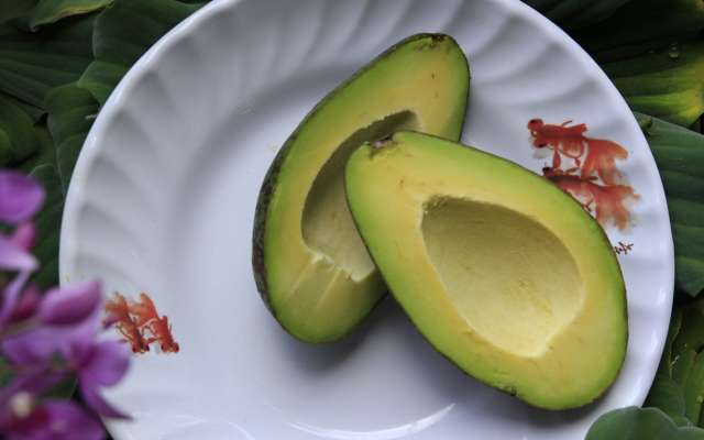 Productores michoacanos iniciaron esta semana el envío de cargamentos de aguacate hacia los Estados Unidos. Foto: Ella Olsson