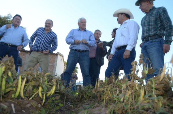 El titular de la SADER realizó un recorrido por algunas de las zonas agrícolas afectadas en el sur de la entidad.
Foto: Especial