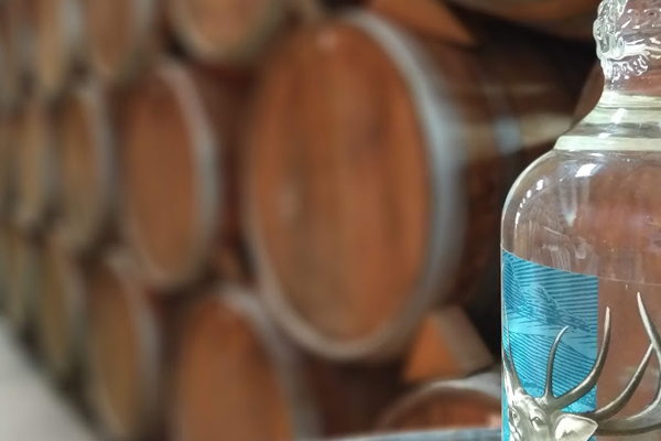 tequila_barricas