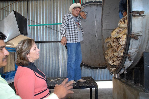 La región occidental de Jalisco, en cuyos municipios históricamente se ha producido y consumido. Foto: CUARTOSCURO.COM