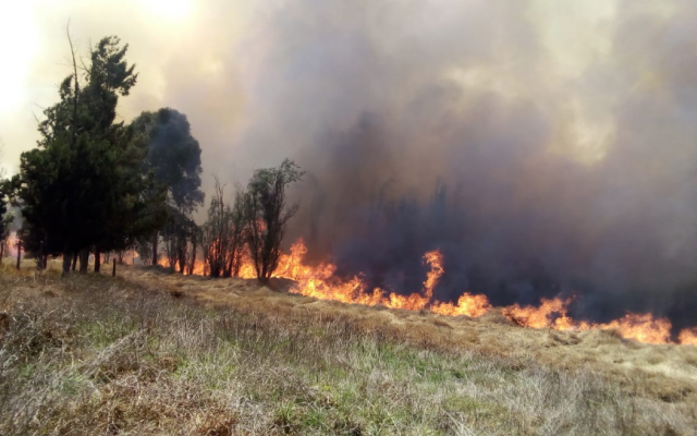 La semana pasada se registró un incendio también en Xochimilco.
FOTO: ESPECIAL