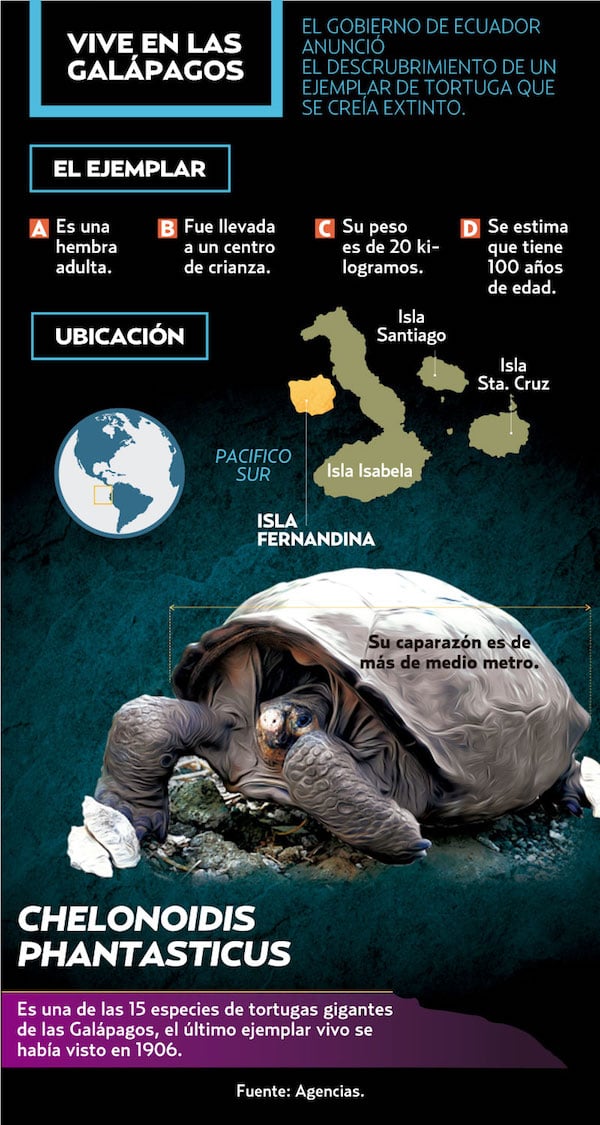 tortuga_galapagos
