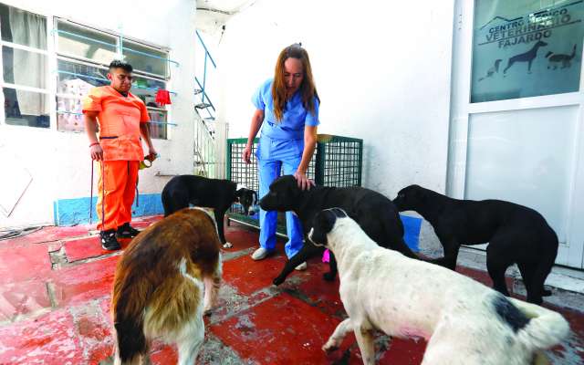 Los animales fueron
entregados por la Procuraduría del Medio
Ambiente del Edomex. FOTOS : NAYELI CRUZ