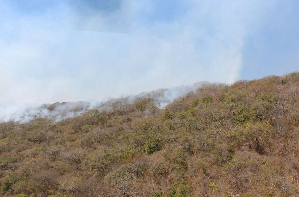 El incendio inició en el ejido Nuevo Bochil, municipio de Chiapa de Corzo. Foto: Notimex