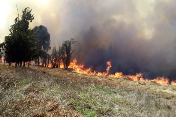Incendio_Xochimilco