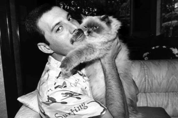 Freddie Mercury le dedicó una canción a su gata Delilah. Foto: Especial