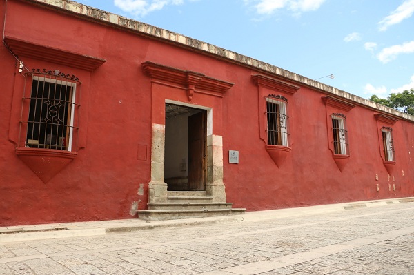 El IAGO cuenta con una biblioteca dedicada al arte gráfico del mundo, además de exposiciones y un lugar en donde se puede ir a trabajar bajo una jacaranda. FOTO: ESPECIAL
