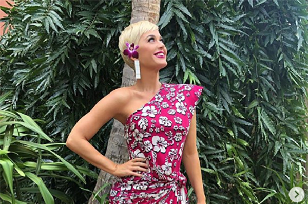Sobre el trabajo que realizaron del video, Perry comentó que le encantó que el DJ se haya unido a su gira realizada el año pasado. FOTO: INSTAGRAM
