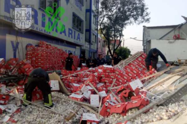 Sólo el chofer de la unidad resultó lesionado. Foto: Ovial