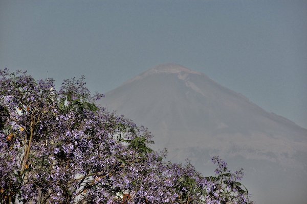Protección Civil de Puebla mantiene el monitoreo constante en el coloso. Foto: @constanza