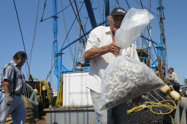 Finalmente indicó que el robo de camarón en alta mar y en las comunidades sigue encabezado por la delincuencia organizada