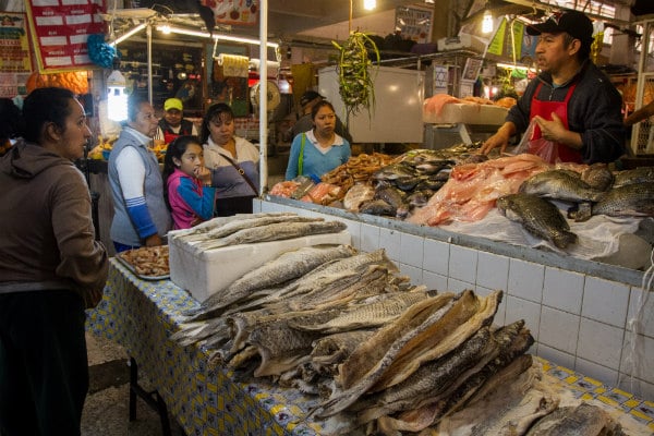 De modo que los tacos y las tostadas de Marlin tan famosos en México, en realidad casi nunca lo comemos pues el atún aleta amarilla es el que comúnmente sustituye a este pescado