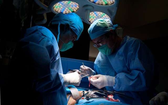 Hipertensión arterial y diabetes son causa del 85 por ciento de los casos de insuficiencia renal. Foto: Especial