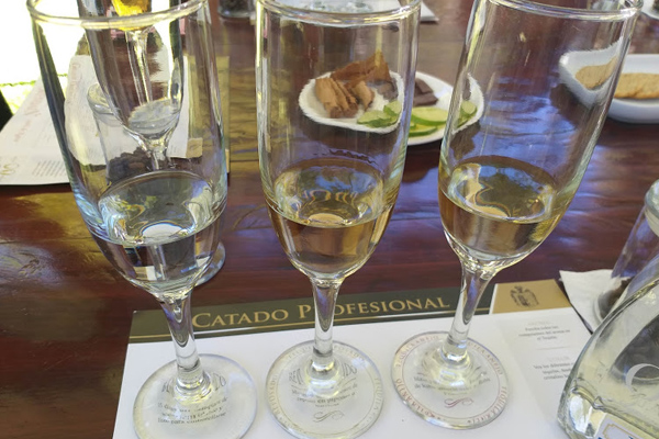 DIA_TEQUILA