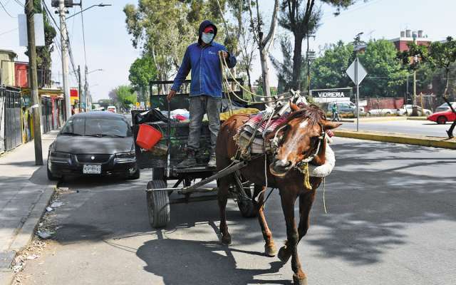 La recolección
artesanal es
complementaria al servicio municipal con
camiones. FOTO:ESPECIAL