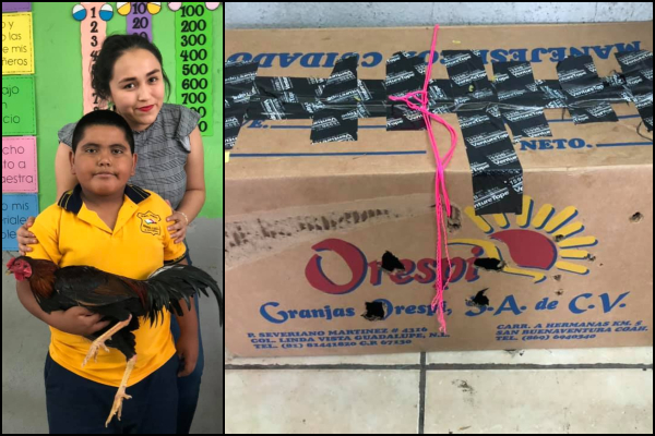 El niño buscó apoyo de sus vecinos para llegar a la escuela con la caja, ya que no podía transportarla en su bicicleta. Foto: Especial