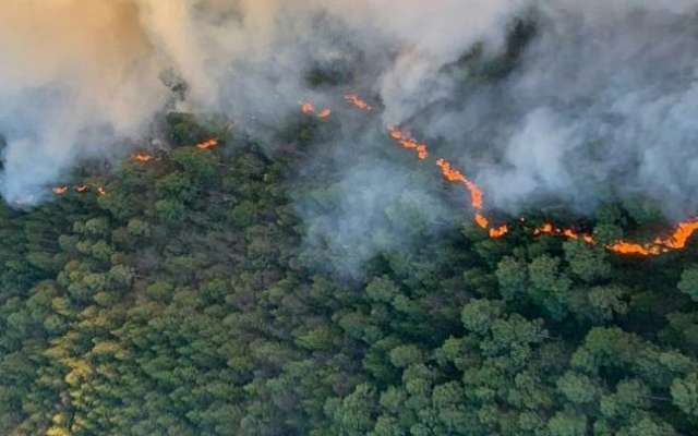 El incendio forestal en Las Vigas no había sido controlado en su totalidad. FOTO: ESPECIAL