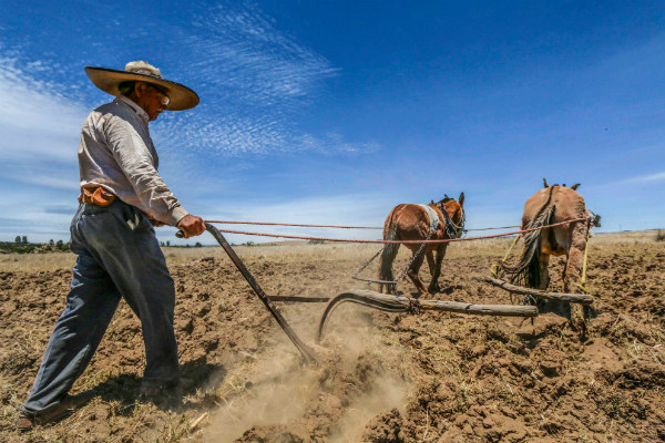 Mientras que las nuevas aplicaciones tecnológicas como Atfarm, monitoreo satelital de los cultivos, están disponibles totalmente gratuitas para los clientes de Yara