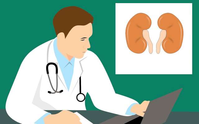 Las personas que viven con un riñón pueden llevar una vida plena y completamente normal, de acuerdo con la National Kidney Foundation. Foto: Pixabay